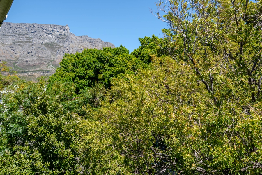 To Let 2 Bedroom Property for Rent in Oranjezicht Western Cape